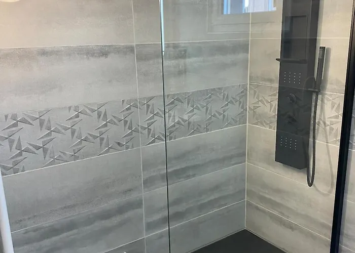 Maison Les Cygnes Face Au *